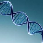 bioetica