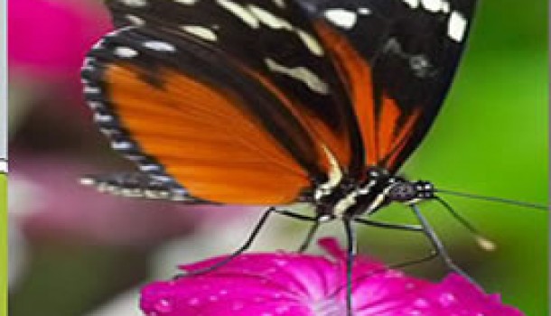 Bioetica e biodiritto, le relazioni scivolose