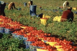 La convenienza dei diritti